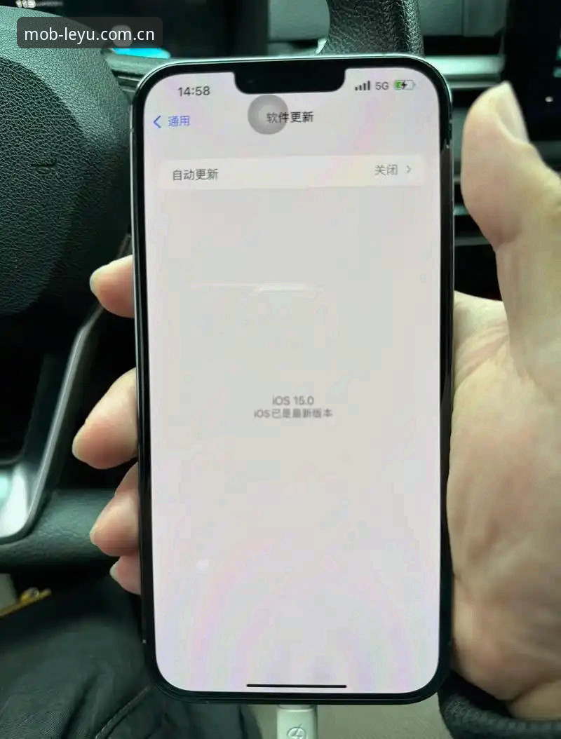 揭秘leyu手机版登录官网直达iOS版：这半年圈内人都在避的坑，我一次说透
