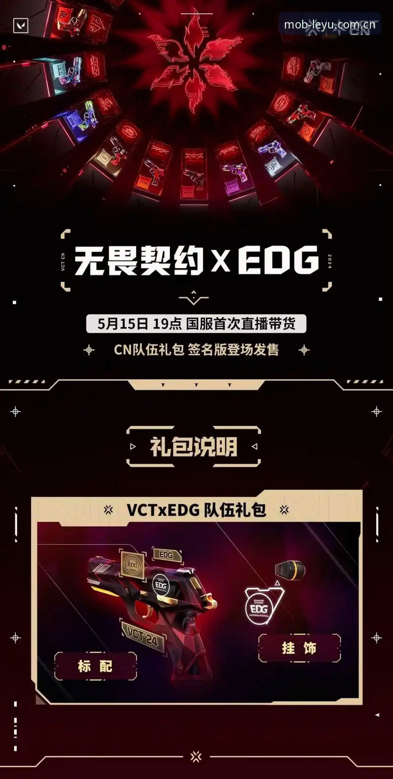 对比手机版登录入口CN版的5个关键选择点