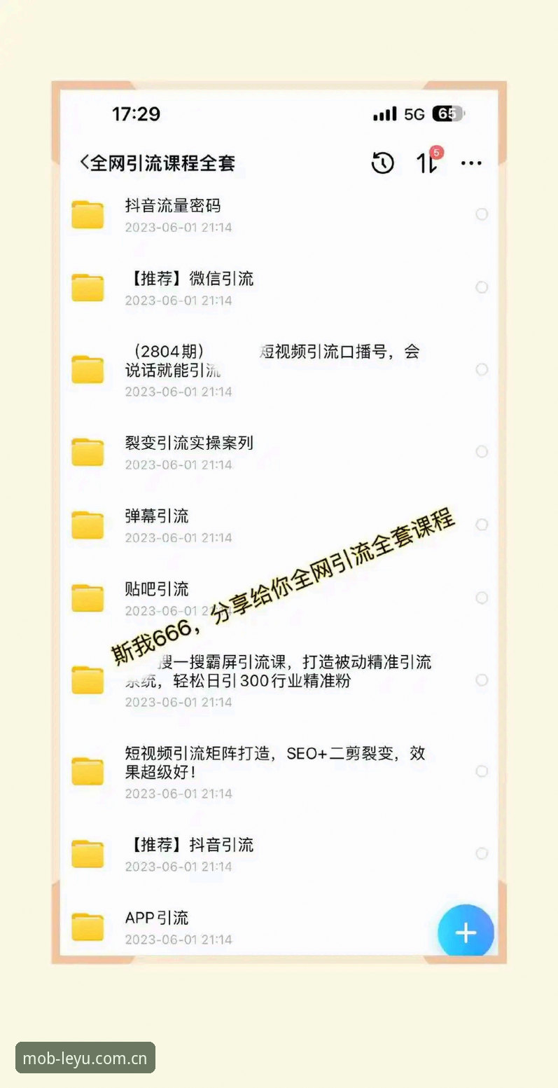 摸透LEYU手机版登录入口APP的5个实操细节，老用户告诉你哪个版本最好用